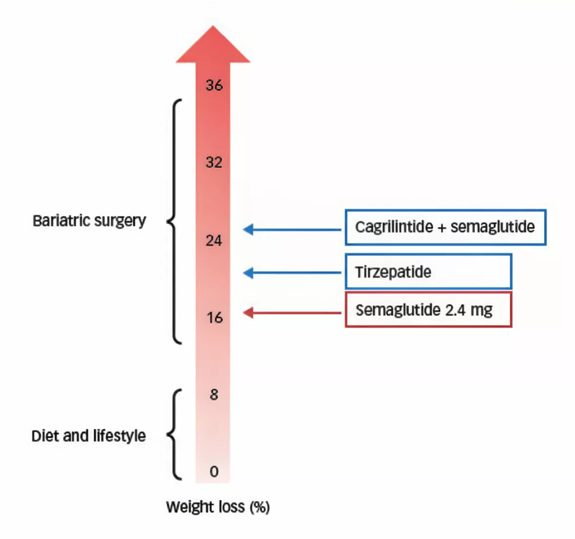 Bronchogen and Respiratory Health